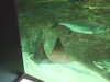 20200807105151-DSCF5209.JPG