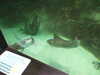 20200807105205-DSCF5210.JPG
