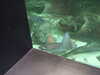 20200807105217-DSCF5211.JPG