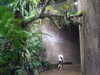 20200807105302-DSCF5212.JPG