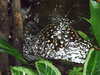 20200807105412-DSCF5214.JPG