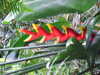 20200807105444-DSCF5216.JPG
