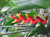 20200807105454-DSCF5217.JPG