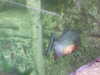 20200807105522-DSCF5218.JPG