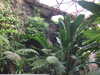 20200807105619-DSCF5221.JPG