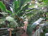 20200807105628-DSCF5222.JPG
