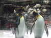 20200807110712-DSCF5224.JPG