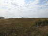 20200807144530-DSCN3930.JPG