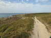 20200807145040-DSCN3940.JPG