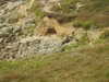 20200807145044-DSCN3941.JPG