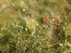 20200807145116-DSCN3942.JPG