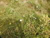 20200807145120-DSCN3943.JPG