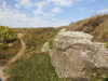 20200807145233-DSCN3944.JPG