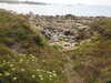 20200807145517-DSCN3946.JPG