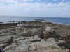 20200807145534-DSCN3947.JPG