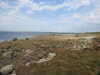 20200807145537-DSCN3948.JPG