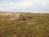 20200807145539-DSCN3949.JPG