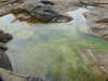 20200807145707-DSCN3951.JPG