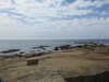 20200807145812-DSCN3954.JPG
