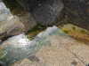 20200807145824-DSCN3955.JPG