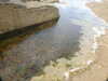 20200807145845-DSCN3956.JPG