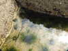 20200807150016-DSCN3959.JPG