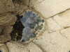 20200807150141-DSCN3962.JPG