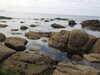 20200807150228-DSCN3964.JPG
