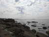 20200807150236-DSCN3965.JPG