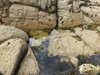 20200807150325-DSCN3969.JPG
