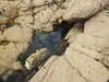 20200807150327-DSCN3970.JPG