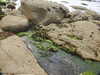 20200807150418-DSCN3972.JPG