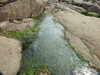 20200807150423-DSCN3973.JPG