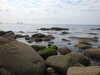 20200807150439-DSCN3974.JPG