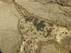 20200807150446-DSCN3975.JPG