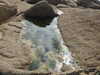 20200807150530-DSCN3978.JPG