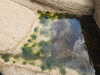20200807150537-DSCN3979.JPG
