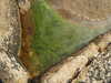 20200807150648-DSCN3982.JPG
