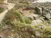20200807151541-DSCN3991.JPG