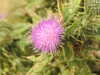 20200807151856-DSCN3993.JPG