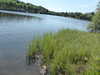 20200808141517-P1300774.JPG
