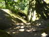 20200808144702-f31193664.jpg
