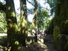 20200808144750-P1300814.JPG
