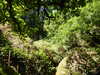 20200808145156-f31294592.jpg