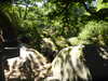 20200808150623-f31552640.jpg