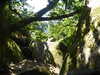 20200808151250-P1300846.JPG