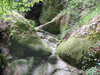 20200809102917-f32198464.jpg