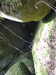 20200809103025-f32285440.jpg