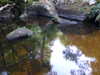 20200809103906-f32789376.jpg