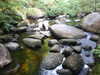 20200809104128-f32916672.jpg